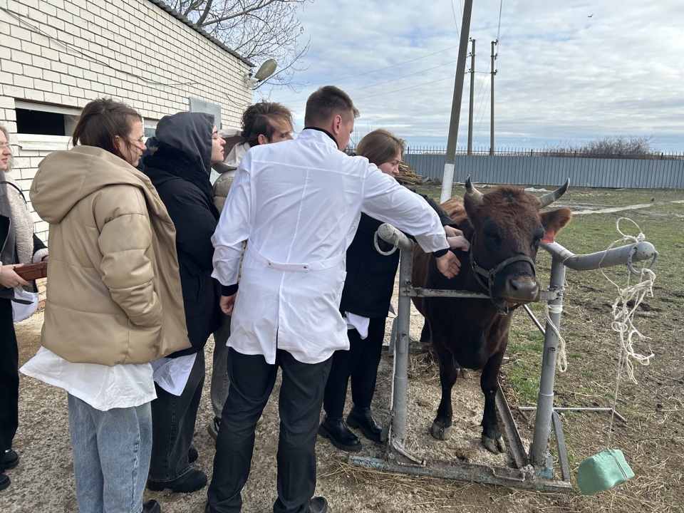 Студенты СтГАУ провели туберклинизацию животных в виварии университета