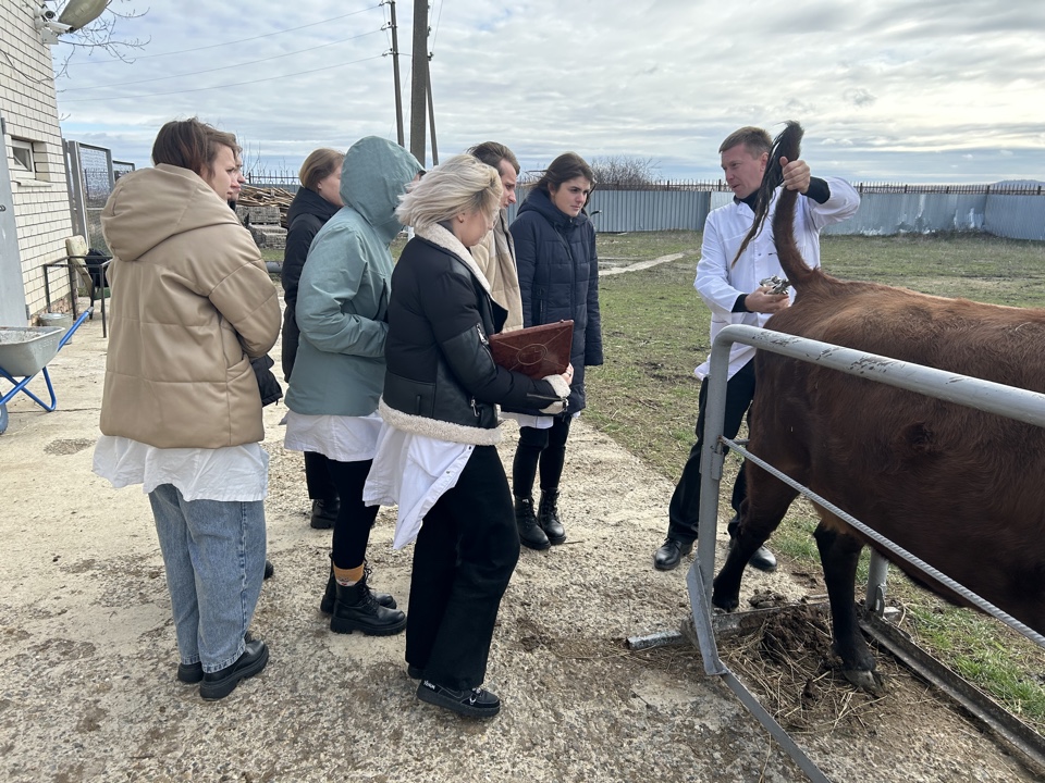 Студенты СтГАУ провели туберклинизацию животных в виварии университета