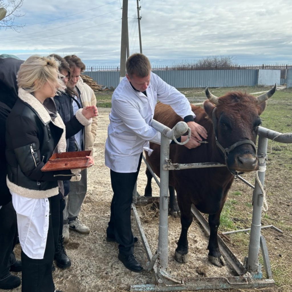 Студенты СтГАУ провели туберклинизацию животных в виварии университета