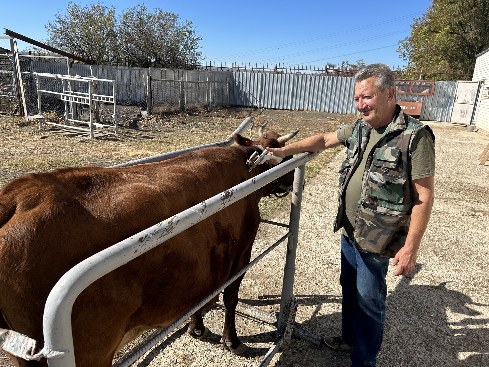 Студенты СтГАУ провели туберклинизацию животных в виварии университета