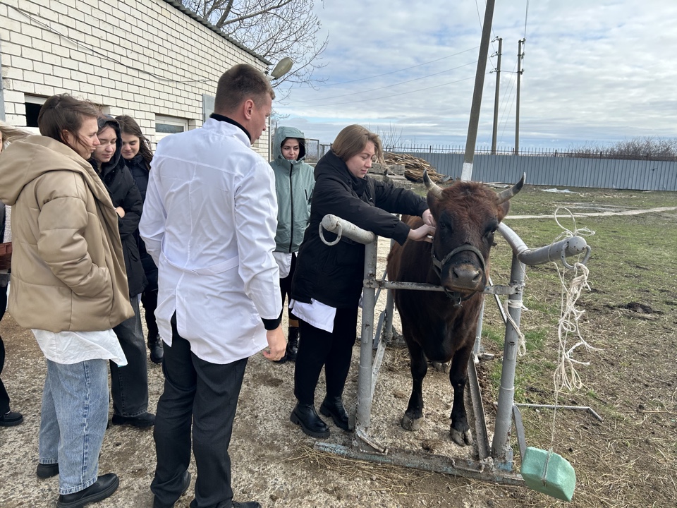 Студенты СтГАУ провели туберклинизацию животных в виварии университета