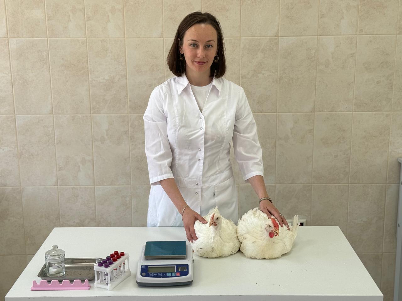 Ученые СтГАУ разработали линейку кормовых добавок для коррекции метаболизма птиц