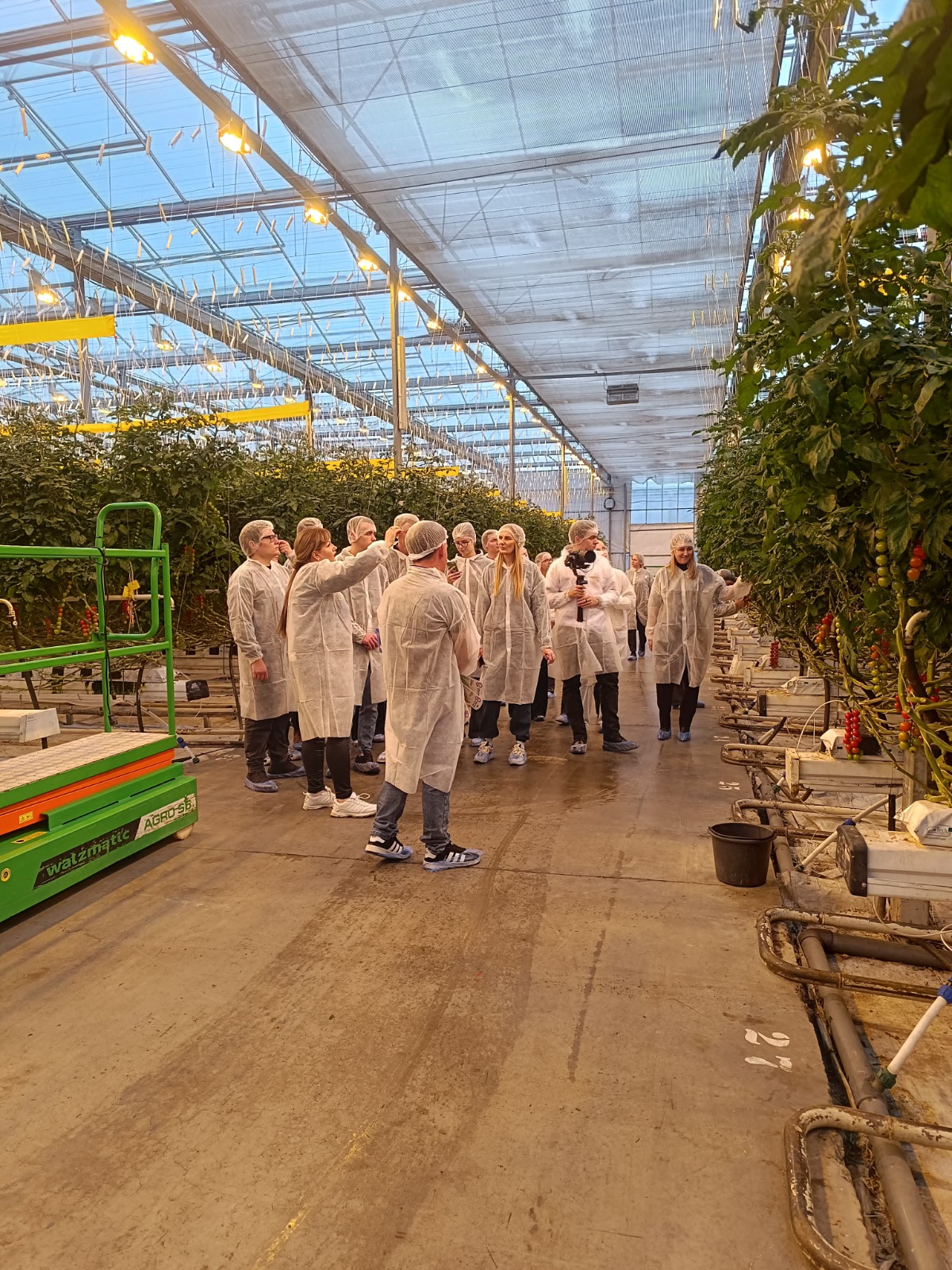 Студенты СтГАУ посетили одно из крупнейших хозяйств закрытого грунта в России