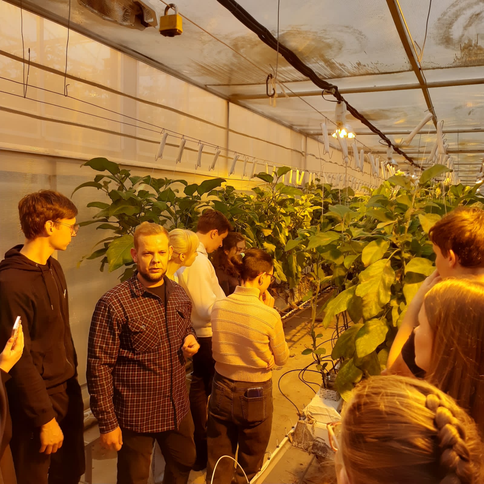 Студенты СтГАУ посетили одно из крупнейших хозяйств закрытого грунта в России