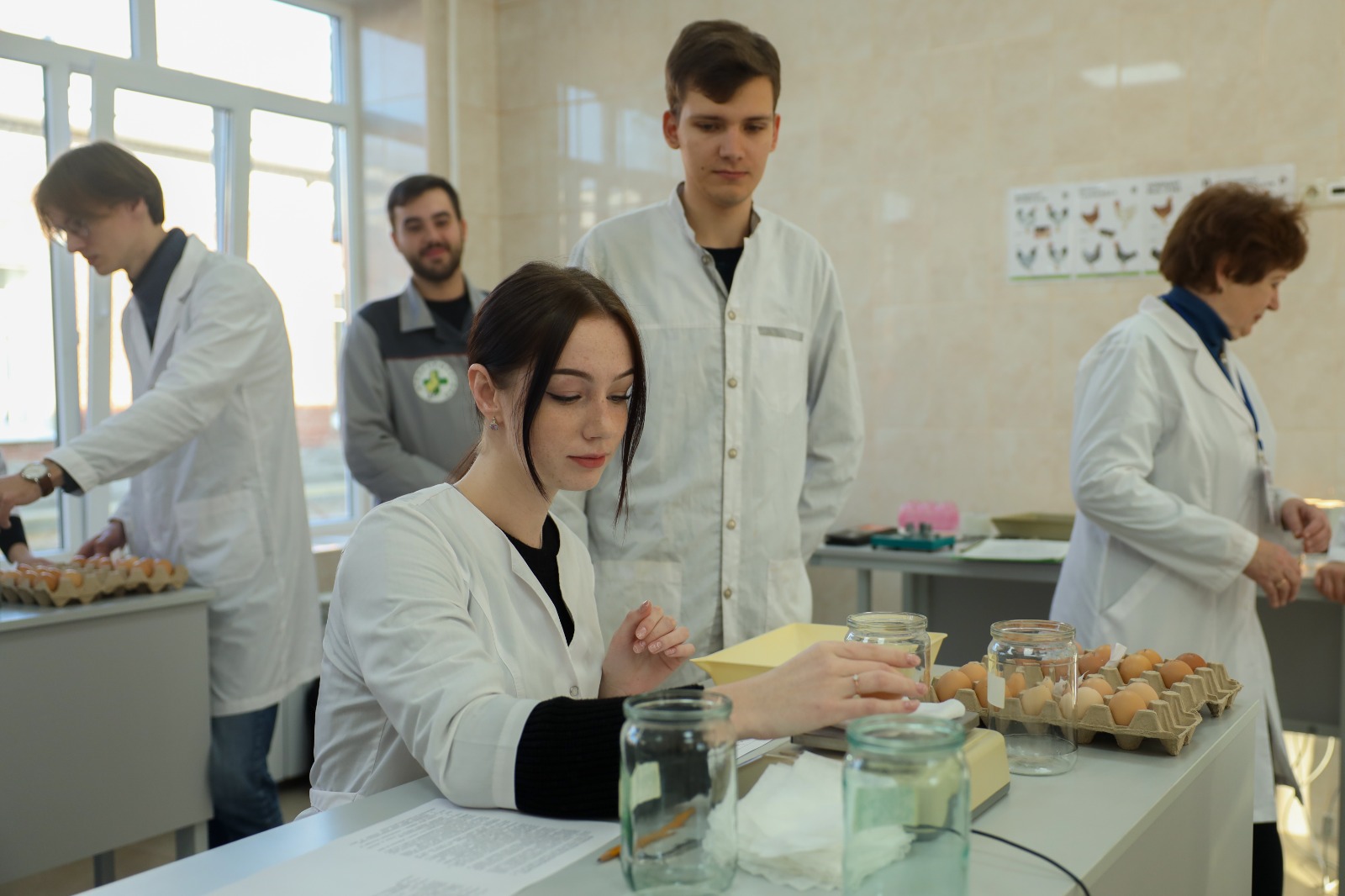Студенты СтГАУ освоили оценку морфологических показателей яиц сельскохозяйственной птицы
