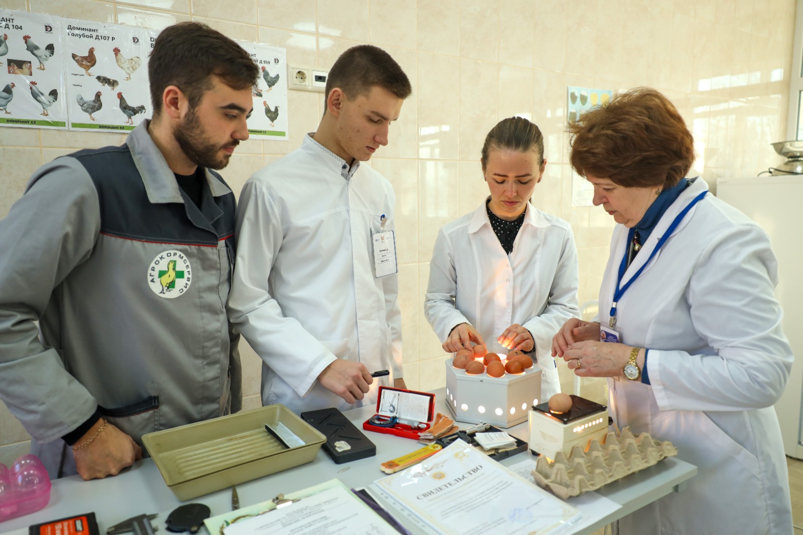 Студенты СтГАУ освоили оценку морфологических показателей яиц сельскохозяйственной птицы
