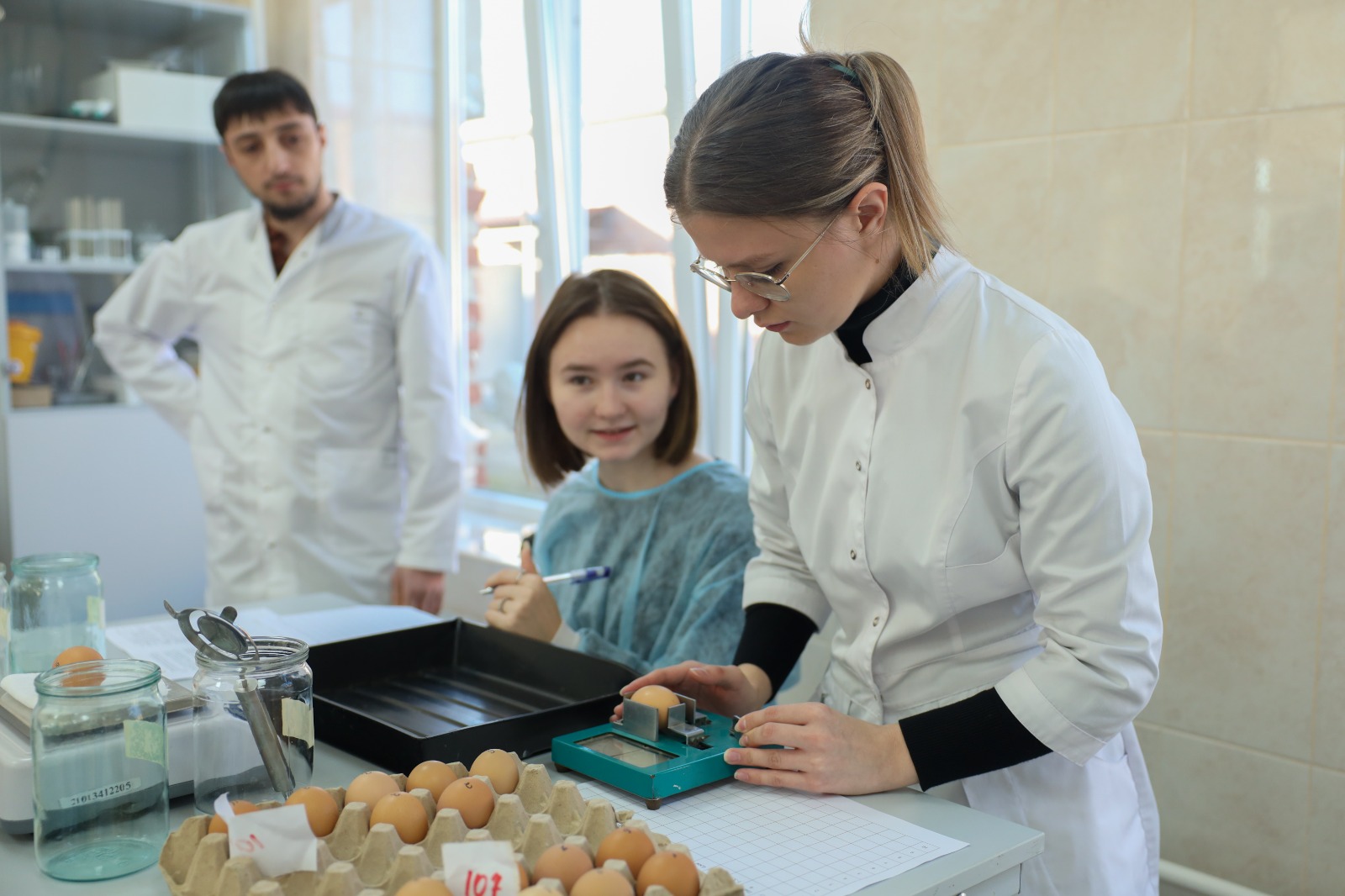 Студенты СтГАУ освоили оценку морфологических показателей яиц сельскохозяйственной птицы