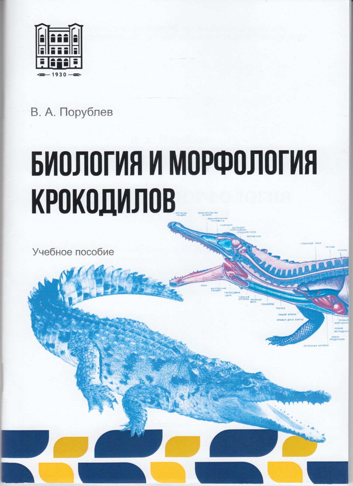 Ученые СтГАУ опубликовали пособие по биологии и морфологии крокодилов