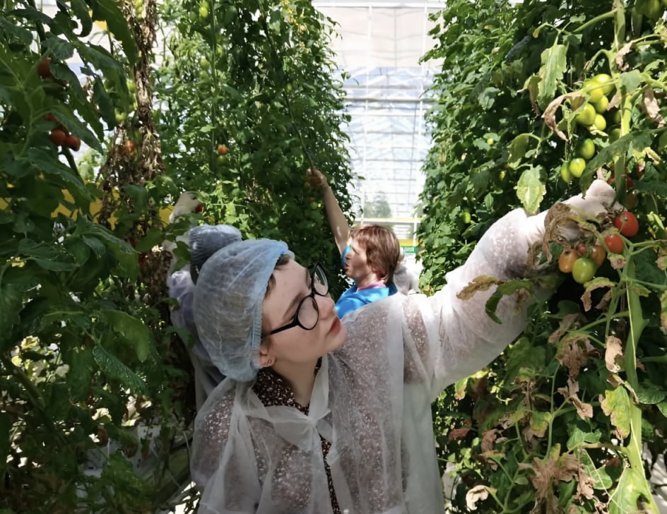 Студенты СтГАУ примут участие в марафоне холдинга «ЭКО-культура»