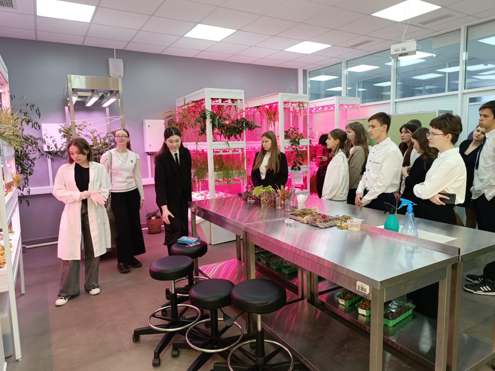 Преподаватель СтГАУ выступила в жюри регионального конкурса дизайнеров городской среды