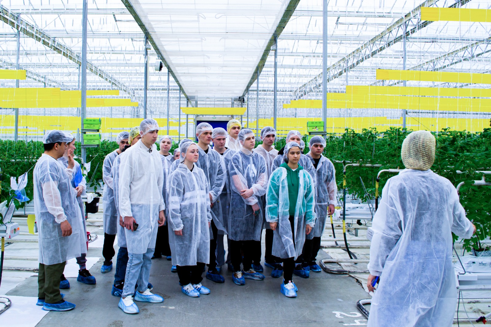 Студенты СтГАУ изучили современные технологии ухода за растениями на базе холдинга "ЭКО-культура"