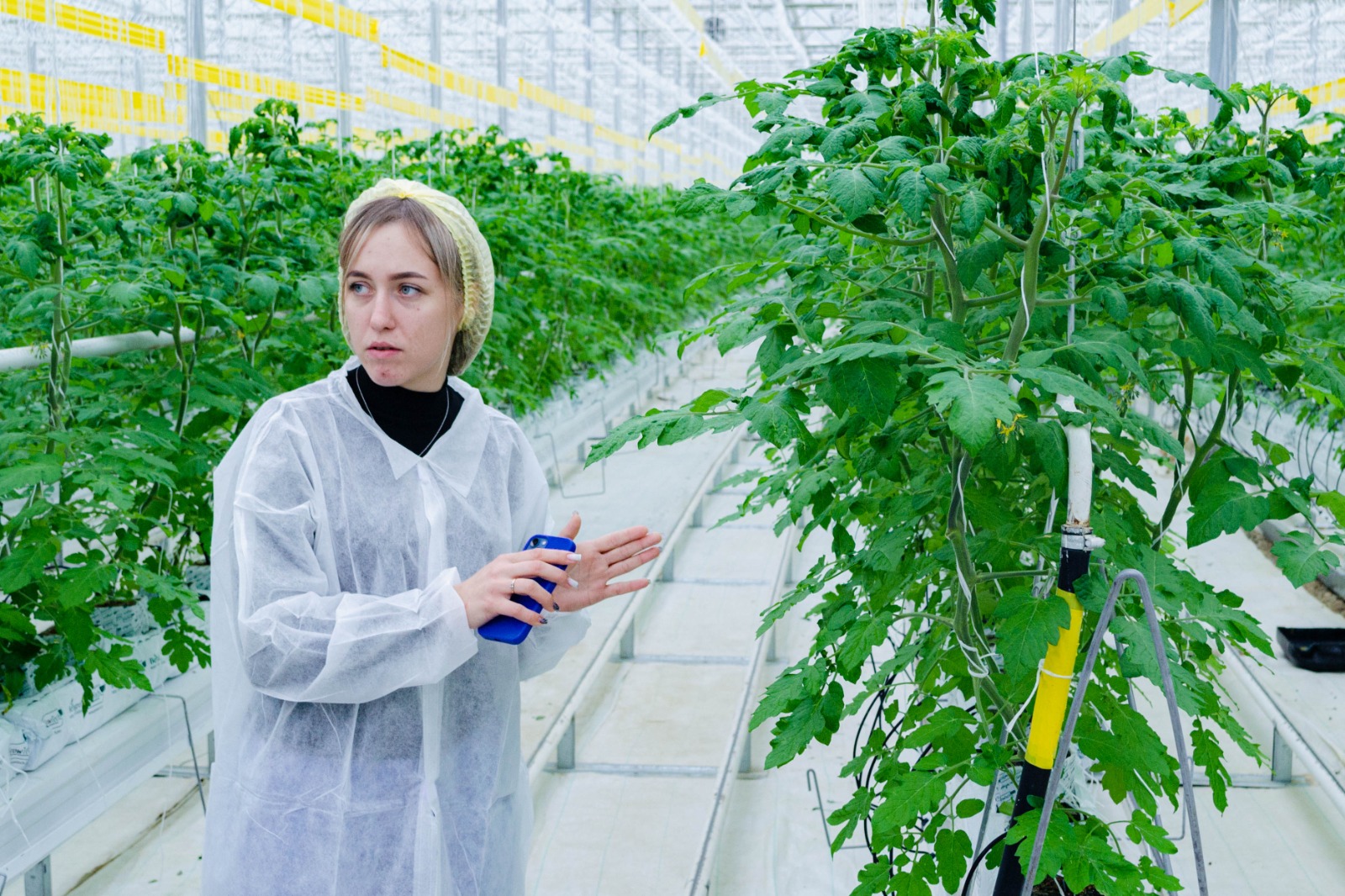 Студенты СтГАУ изучили современные технологии ухода за растениями на базе холдинга "ЭКО-культура"