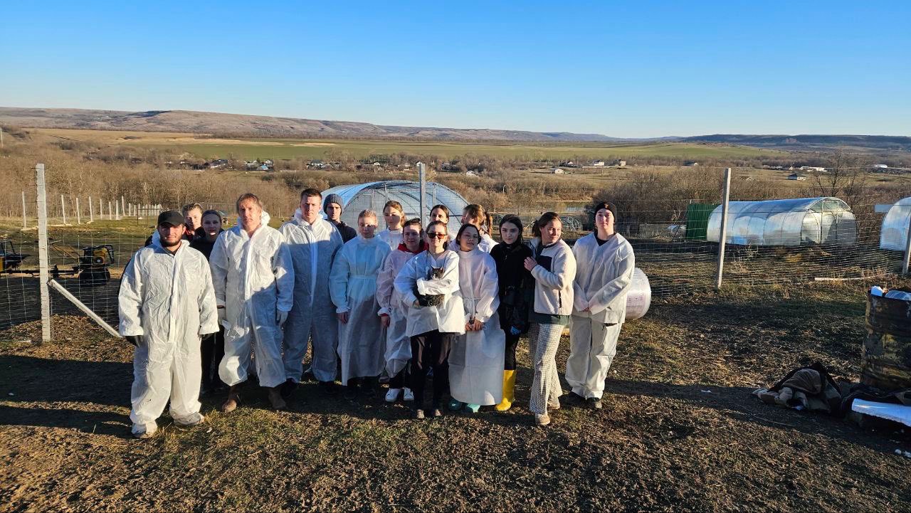 Студенты СтГАУ ухаживают за птицами, пострадавшими от экологической катастрофы в Керченском проливе