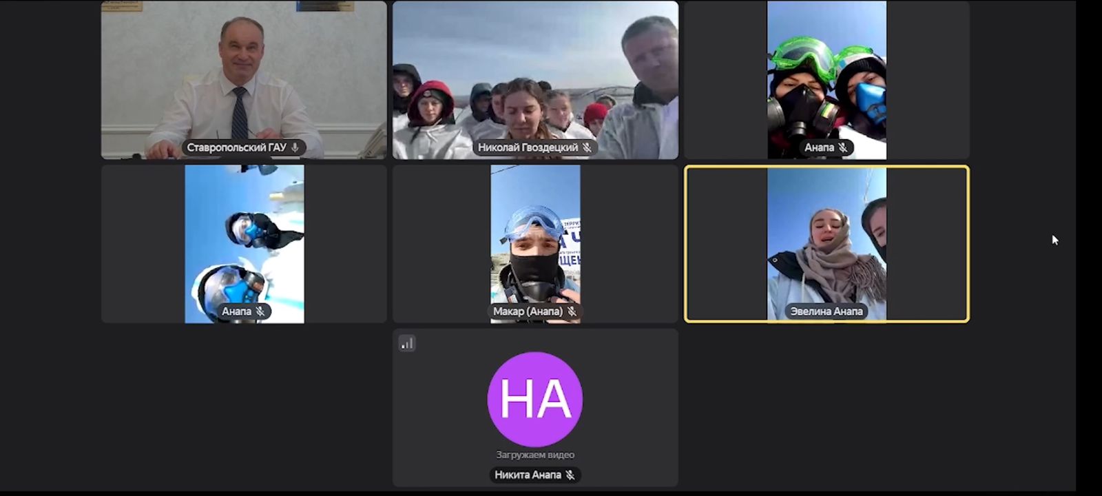 Студенты СтГАУ ухаживают за птицами, пострадавшими от экологической катастрофы в Керченском проливе
