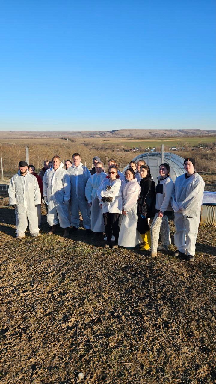 Студенты СтГАУ ухаживают за птицами, пострадавшими от экологической катастрофы в Керченском проливе