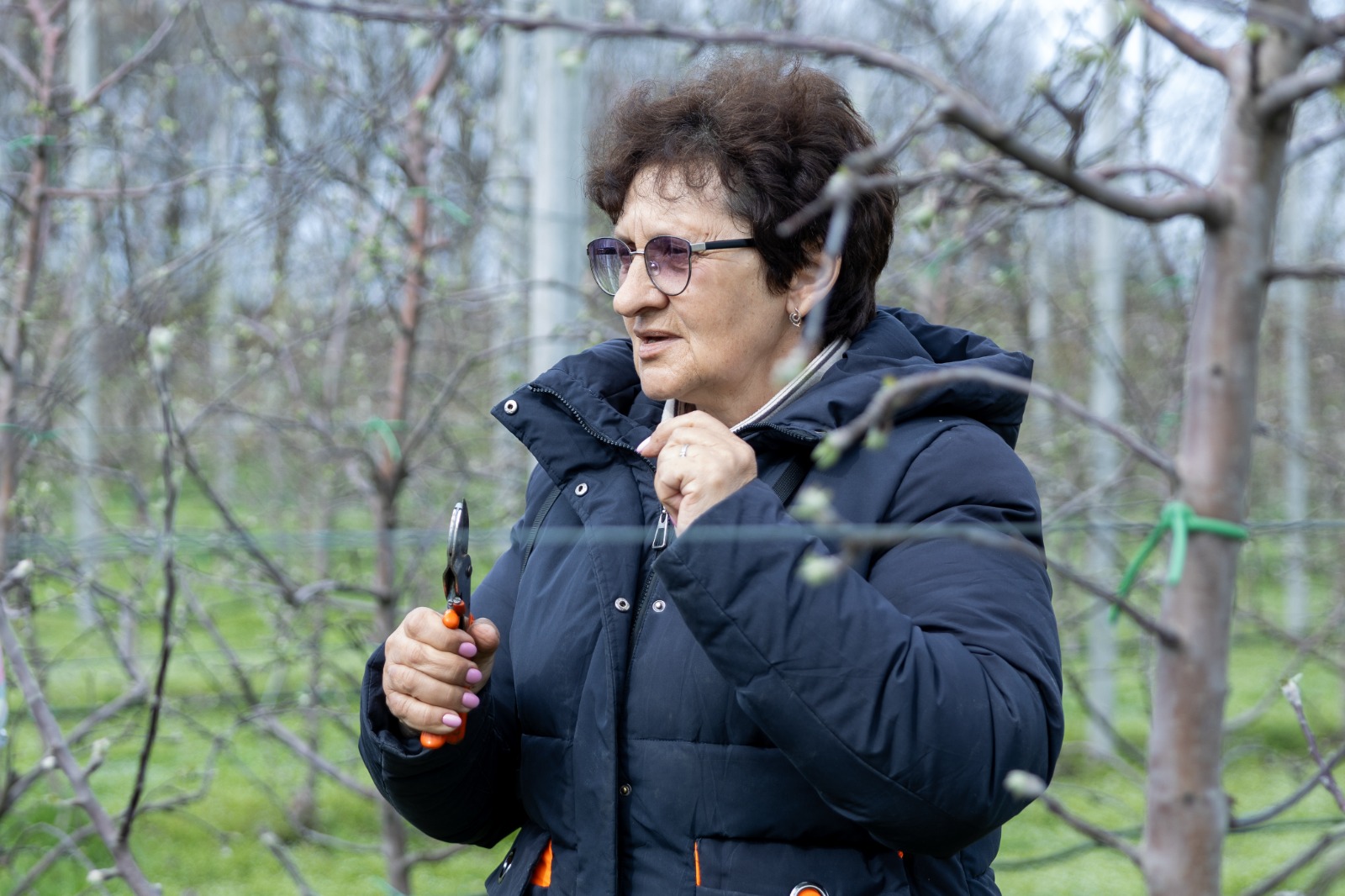 Студенты СтГАУ освоили техники весенней обрезки в интенсивном саду