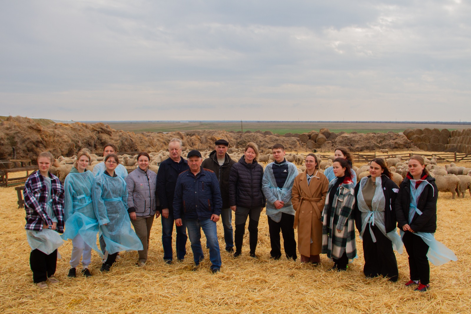 Студенты СтГАУ изучили особенности разведения овец породы джалгинский меринос