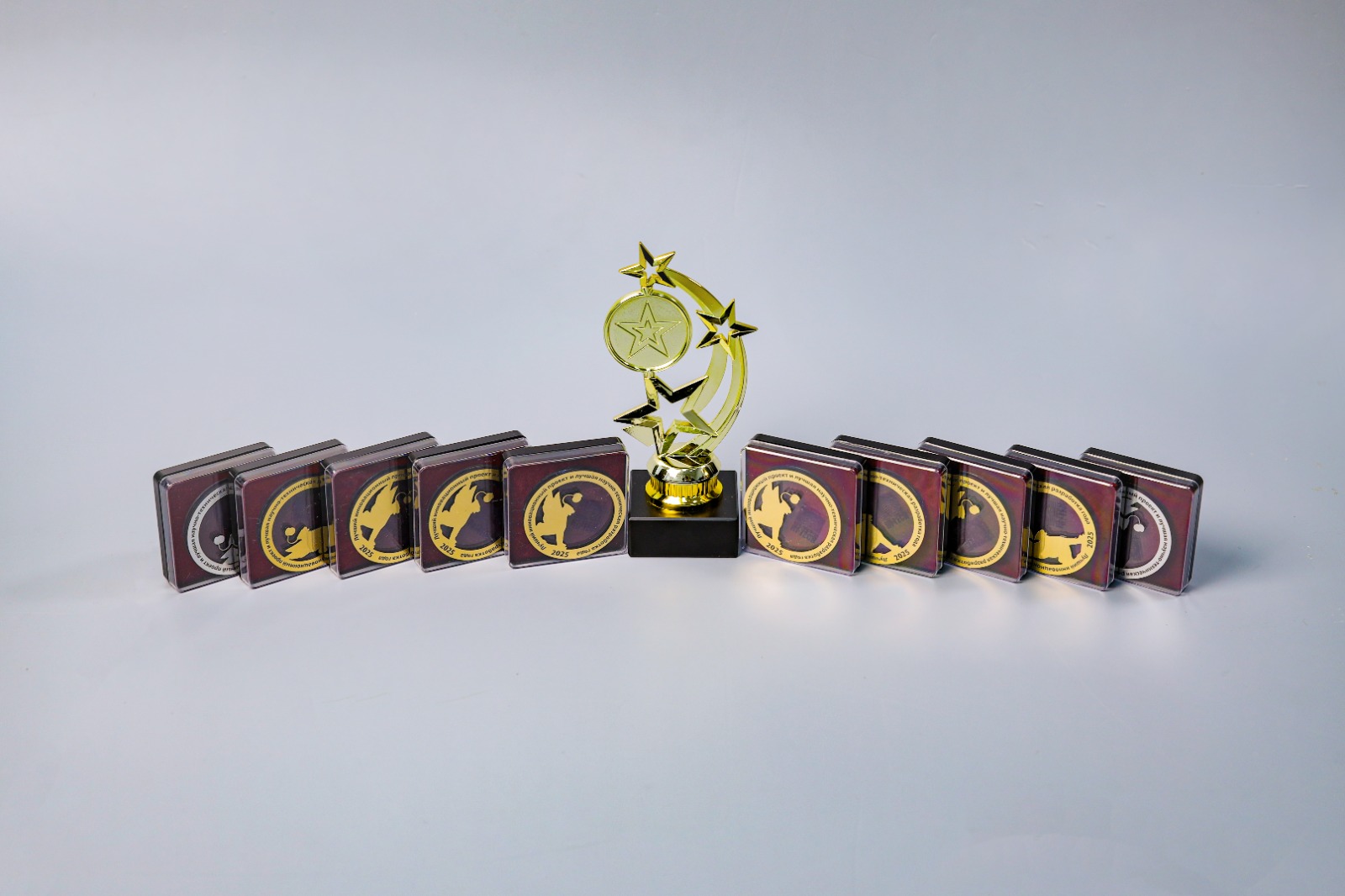 Разработки ученых СтГАУ получили 10 медалей выставки «Hi-Tech-2025»