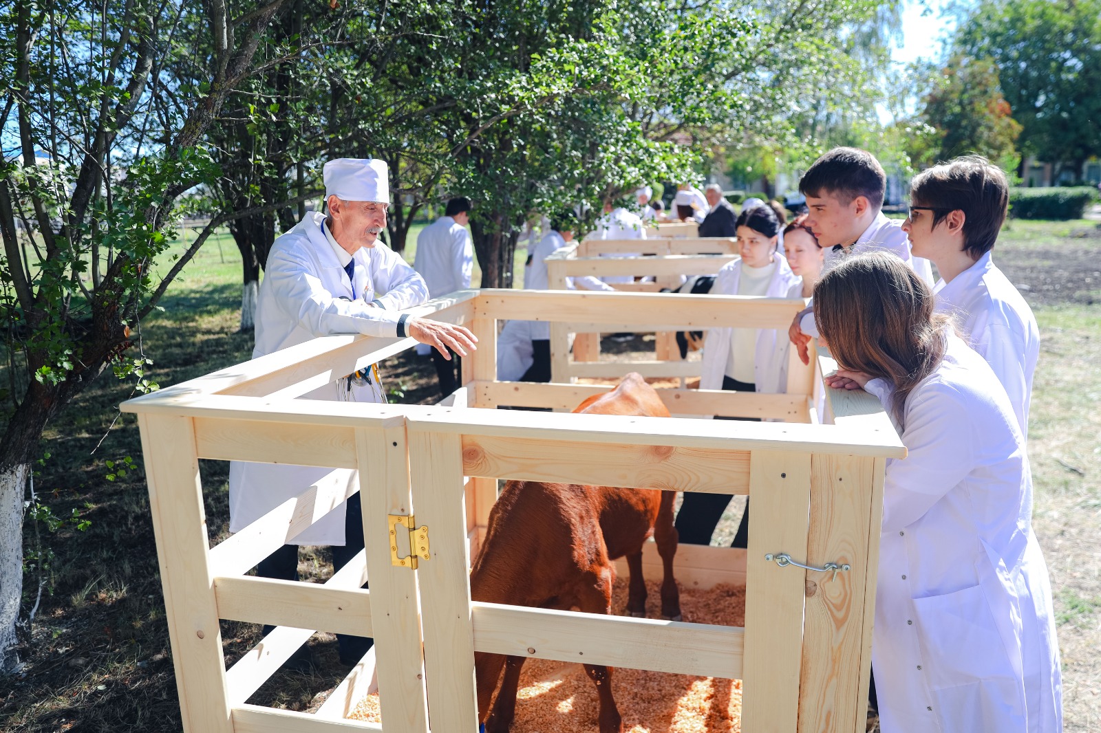 В СтГАУ прошел профессиональный квест для будущих ветеринаров