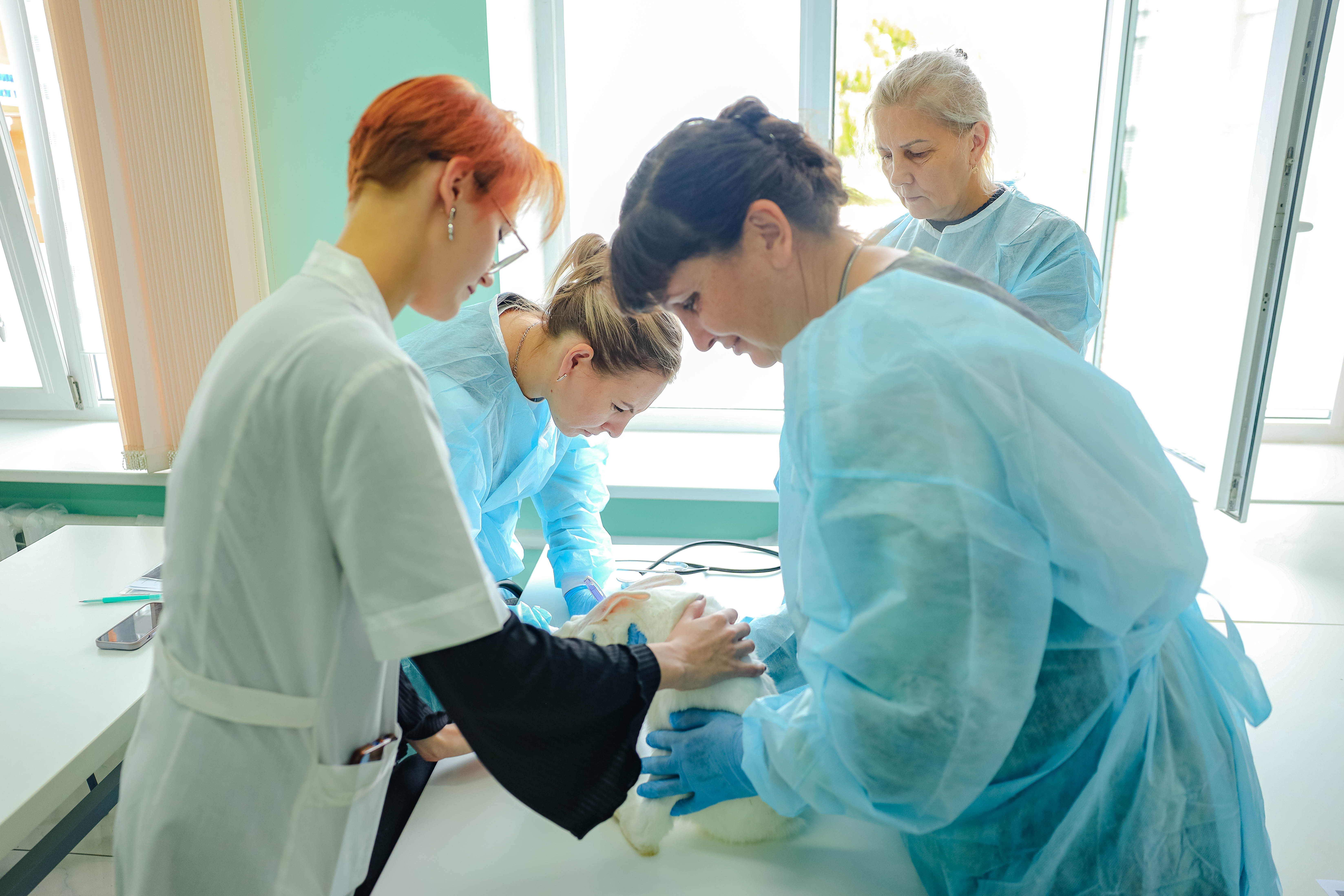 В СтГАУ проходят обучение учителя школ Ставрополья