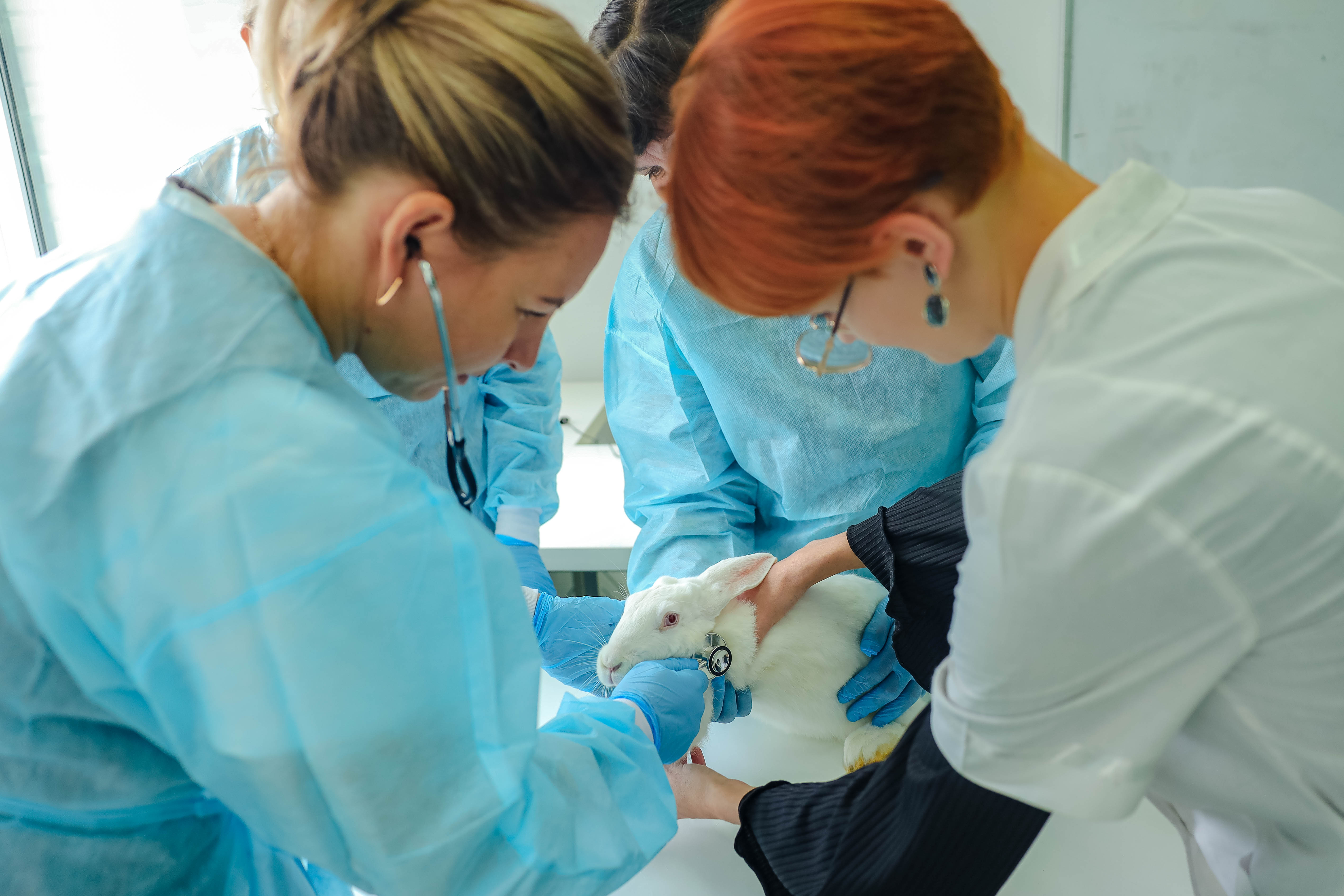 В СтГАУ проходят обучение учителя школ Ставрополья