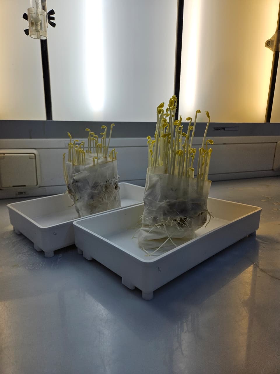 SSAU scientists have released a textbook "Application of micro fertilizers in agriculture"