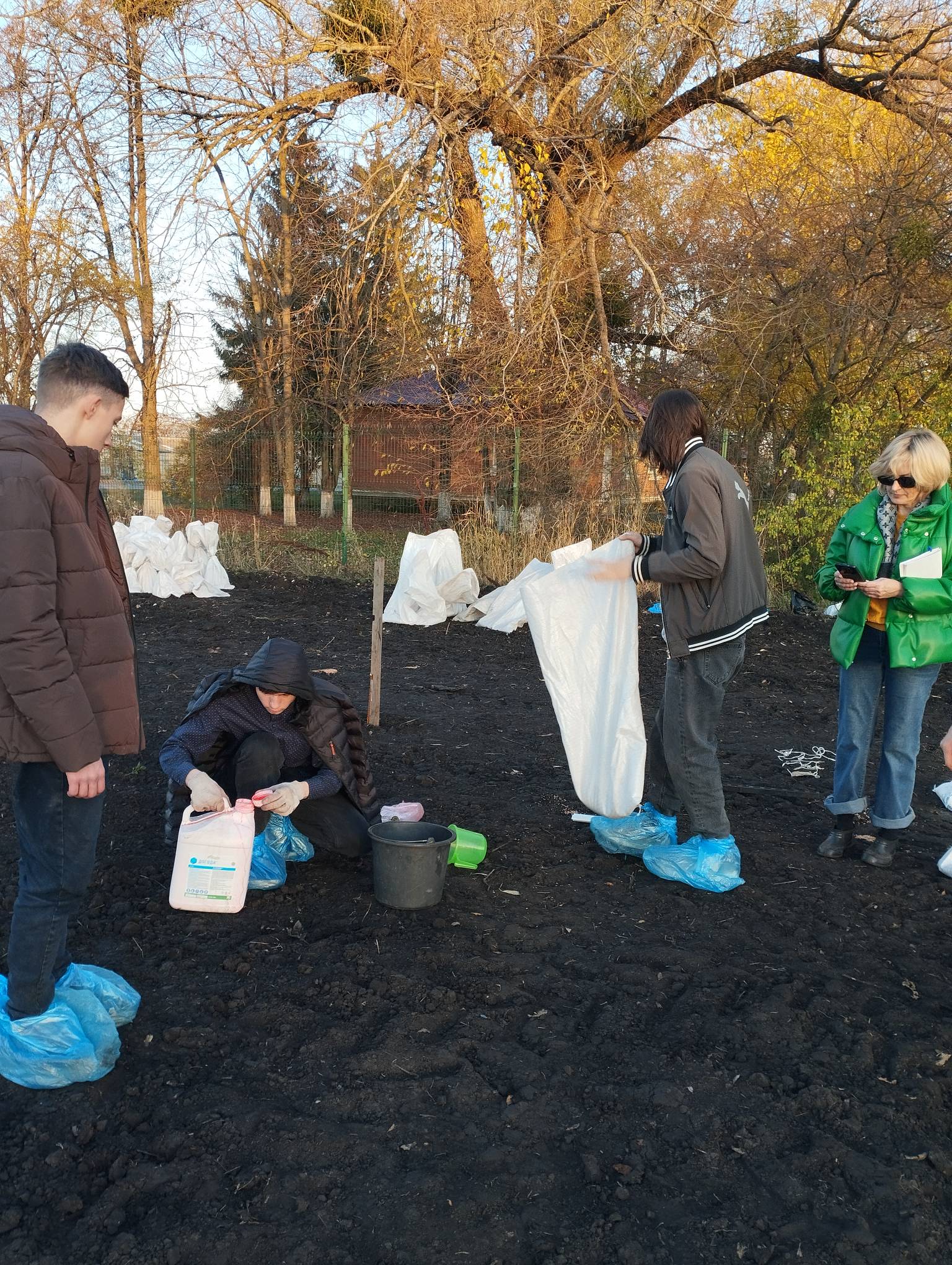 На учебно-опытном хозяйстве СтГАУ прошла закладка опыта по сортоиспытанию озимой пшеницы