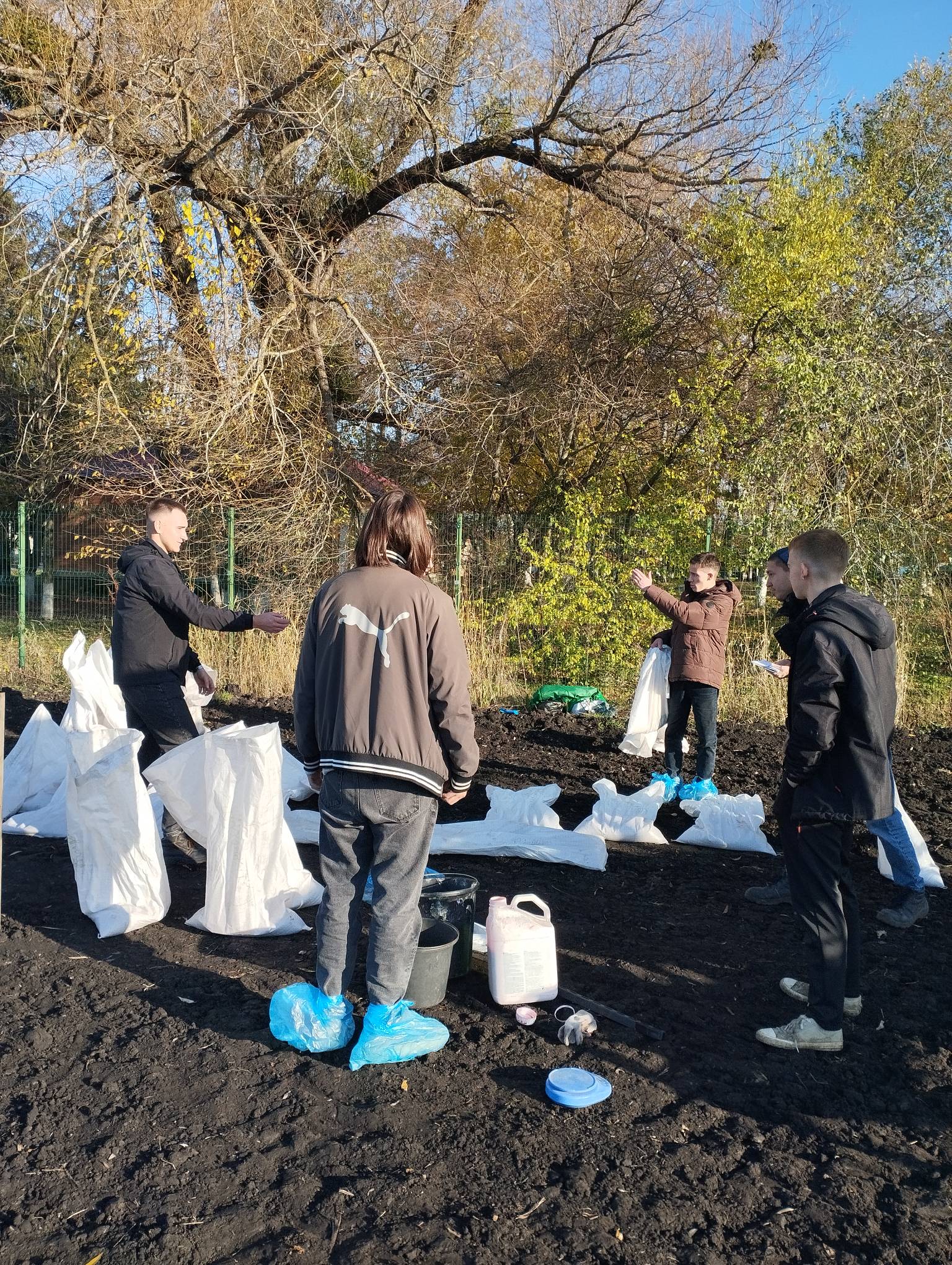 На учебно-опытном хозяйстве СтГАУ прошла закладка опыта по сортоиспытанию озимой пшеницы