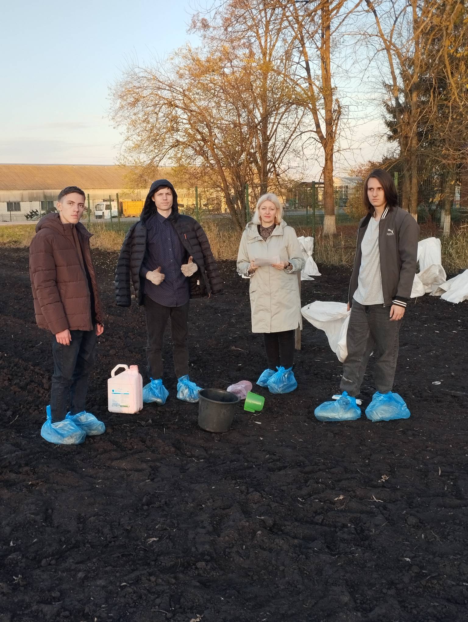 На учебно-опытном хозяйстве СтГАУ прошла закладка опыта по сортоиспытанию озимой пшеницы
