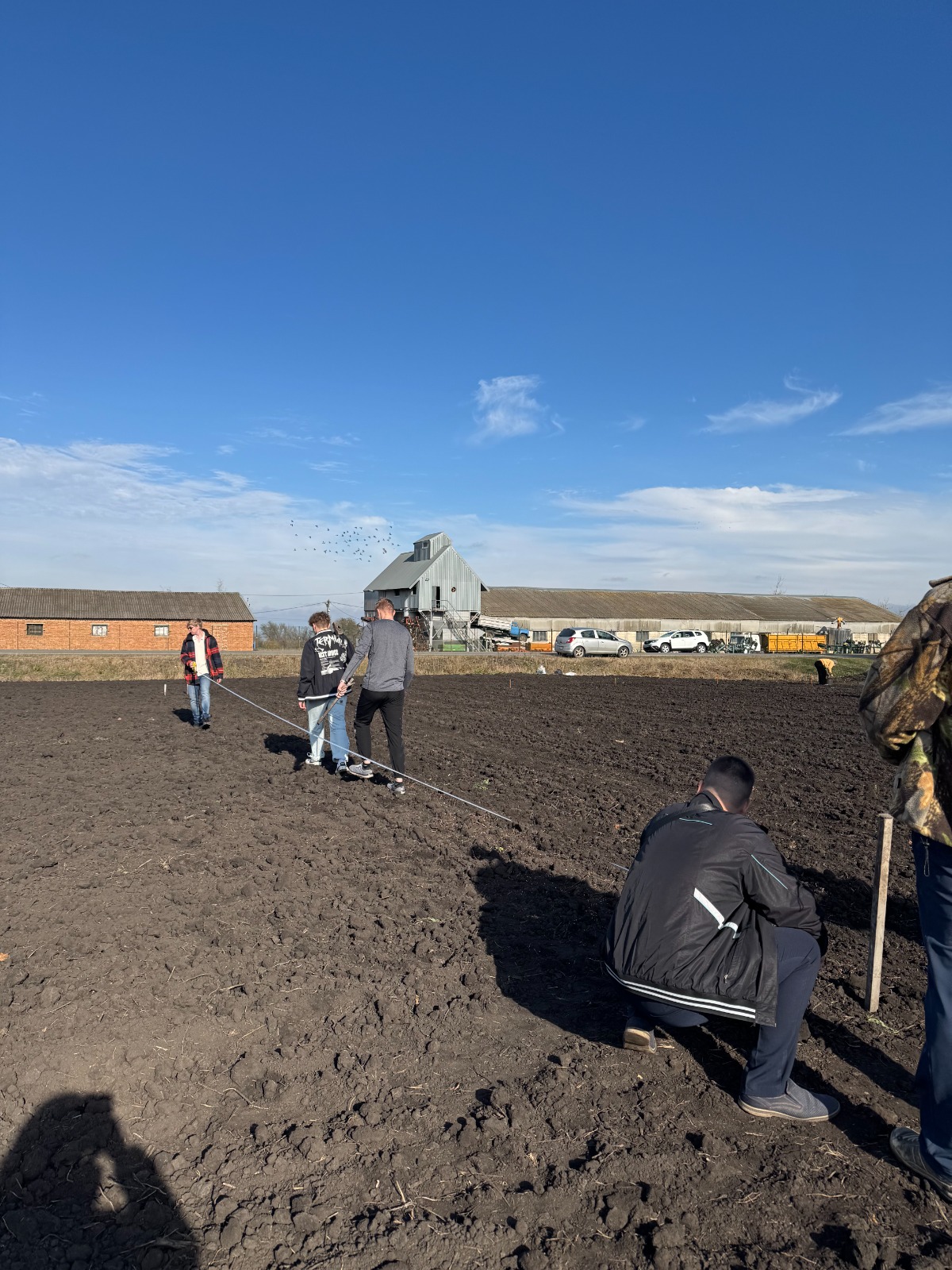 Ученые СтГАУ проводят исследования озимой пшеницы на базе предприятия-партнера