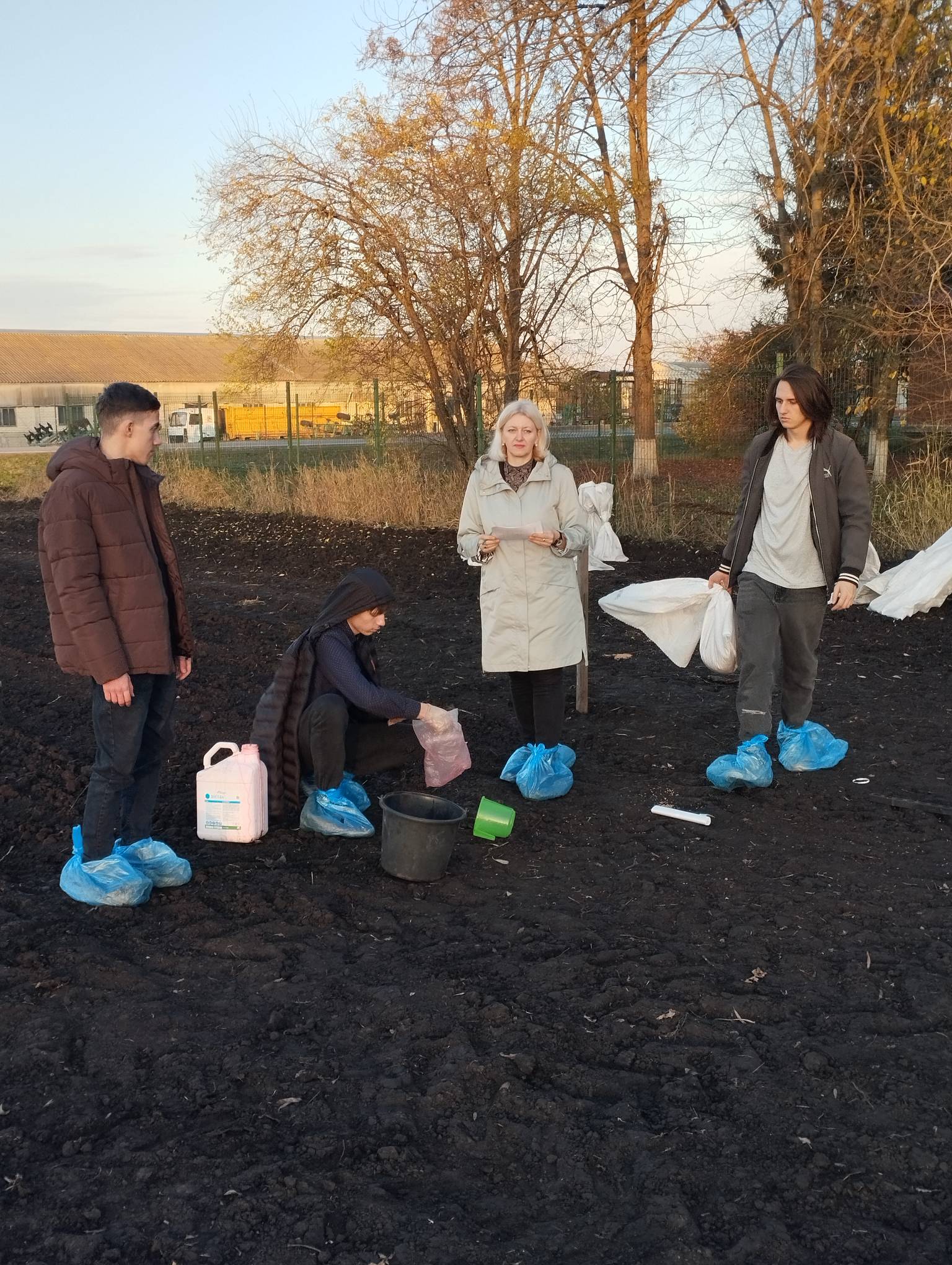 На учебно-опытном хозяйстве СтГАУ прошла закладка опыта по сортоиспытанию озимой пшеницы