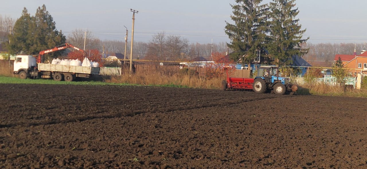 На стационаре кафедр Института агробиологии и природных ресурсов прошел сев озимых культур