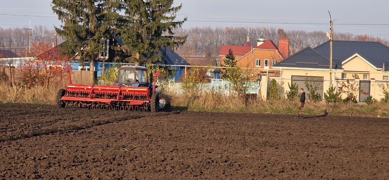 На стационаре кафедр Института агробиологии и природных ресурсов прошел сев озимых культур