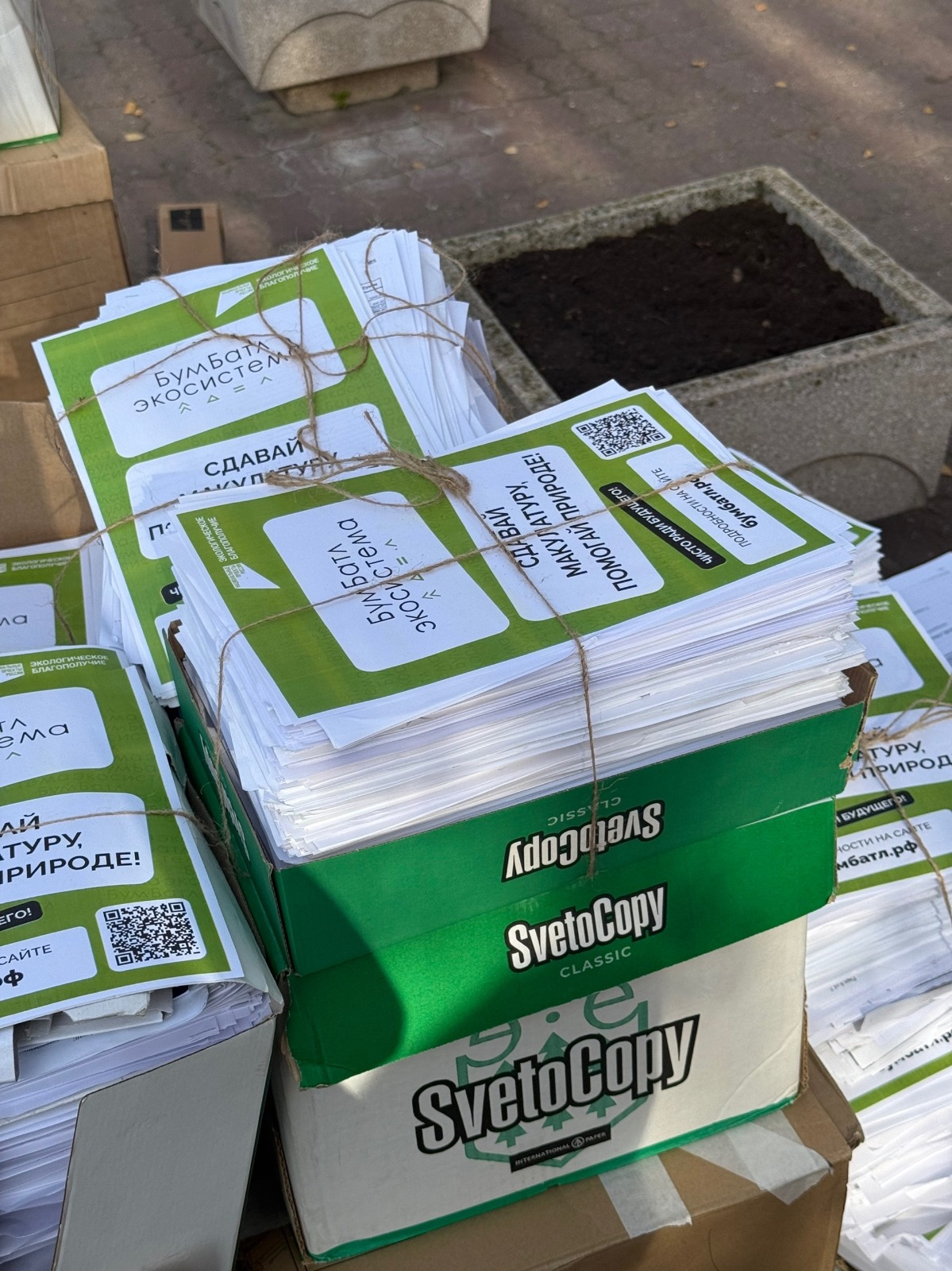 Ставропольский ГАУ принял участие в экологической акции «БумБатл» и собрал 420 кг макулатуры