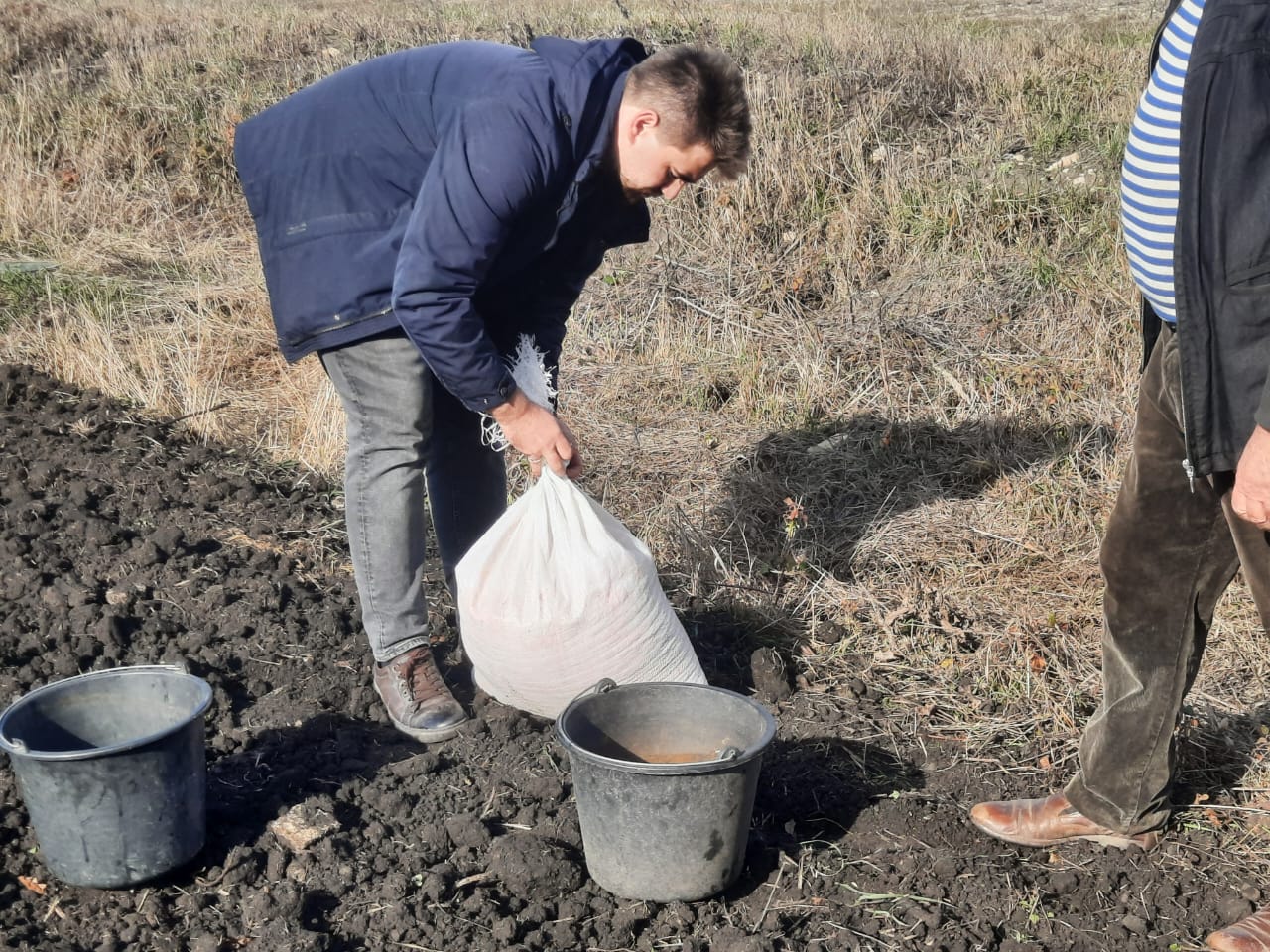 Аспирант СтГАУ провел закладку опыта по возделыванию нового сорта озимой пшеницы
