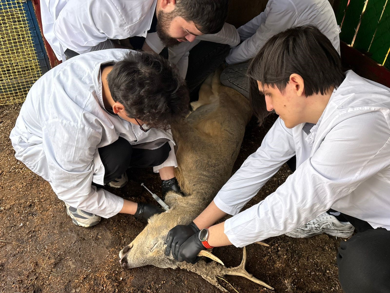 Студенты СтГАУ посетили выездное практическое занятие в зооэкзотариуме
