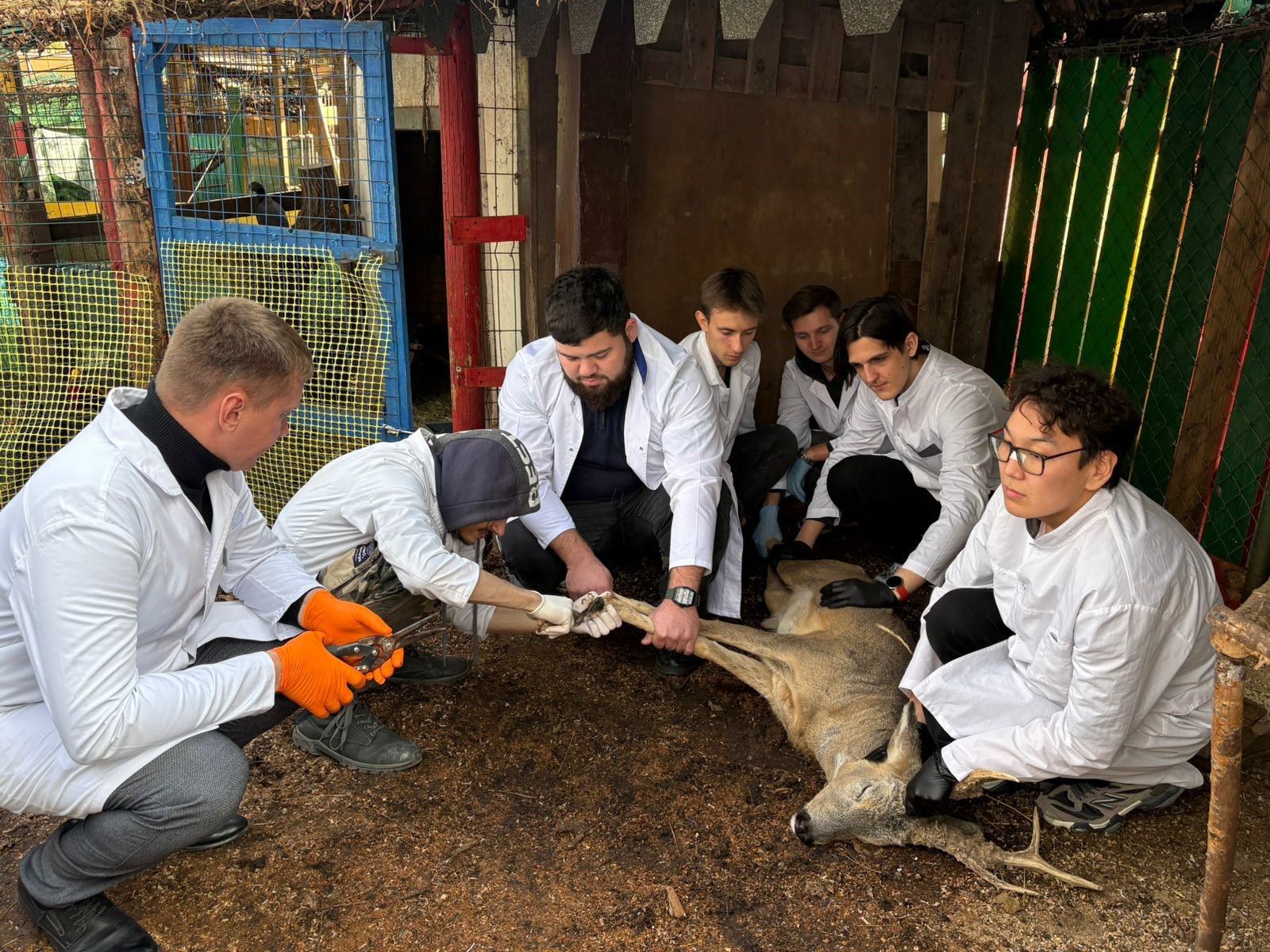 Студенты СтГАУ посетили выездное практическое занятие в зооэкзотариуме
