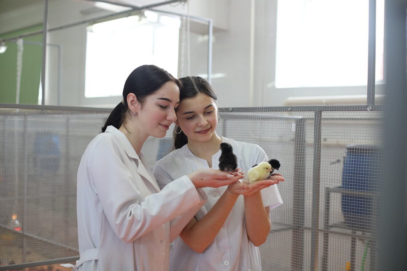 Биотехнология продуктов питания