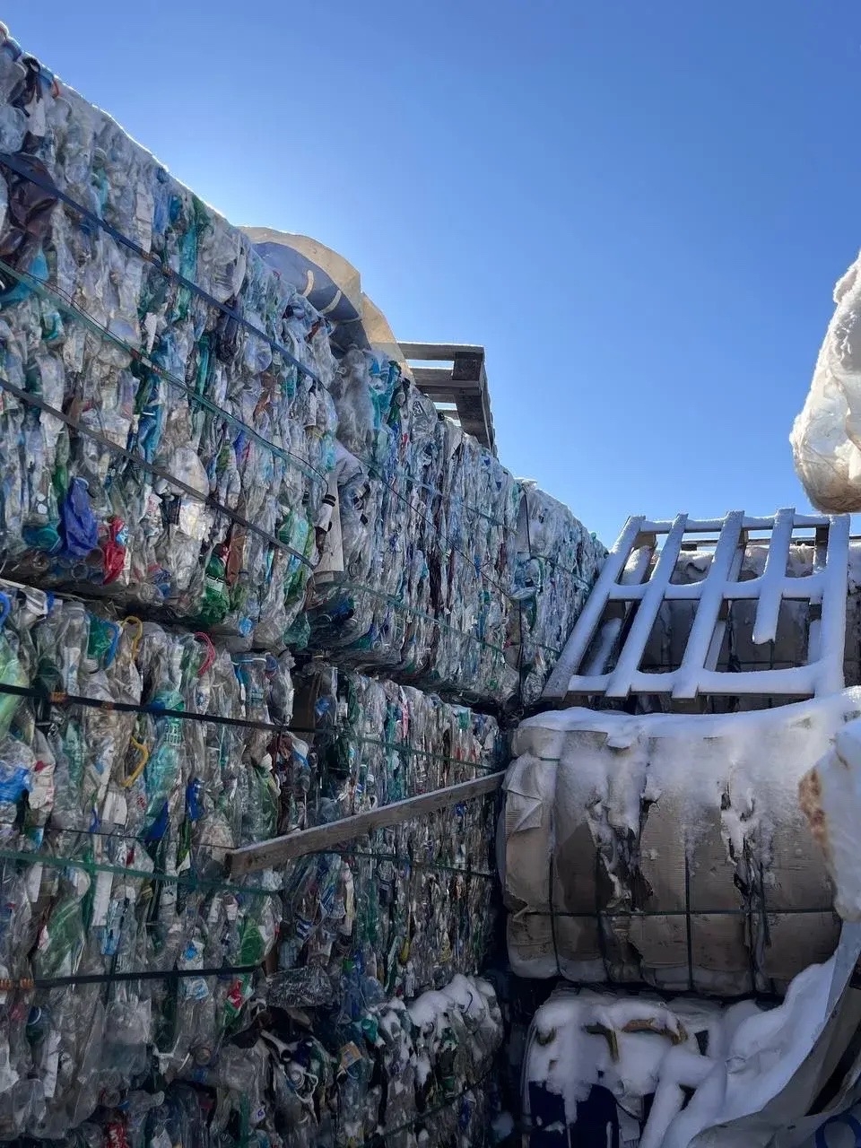 Учебная экскурсия студентов СтГАУ в «ТРИ Р ЦЕНТР»