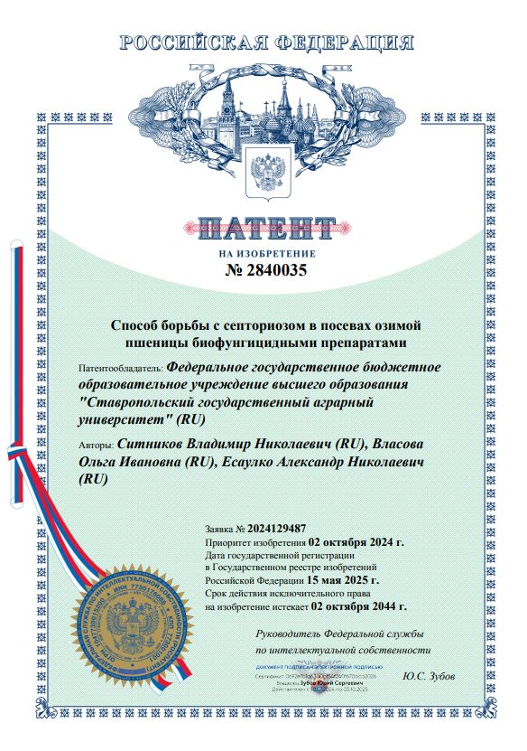 Ученые Ставропольского ГАУ запатентовали инновационный метод борьбы с септориозом