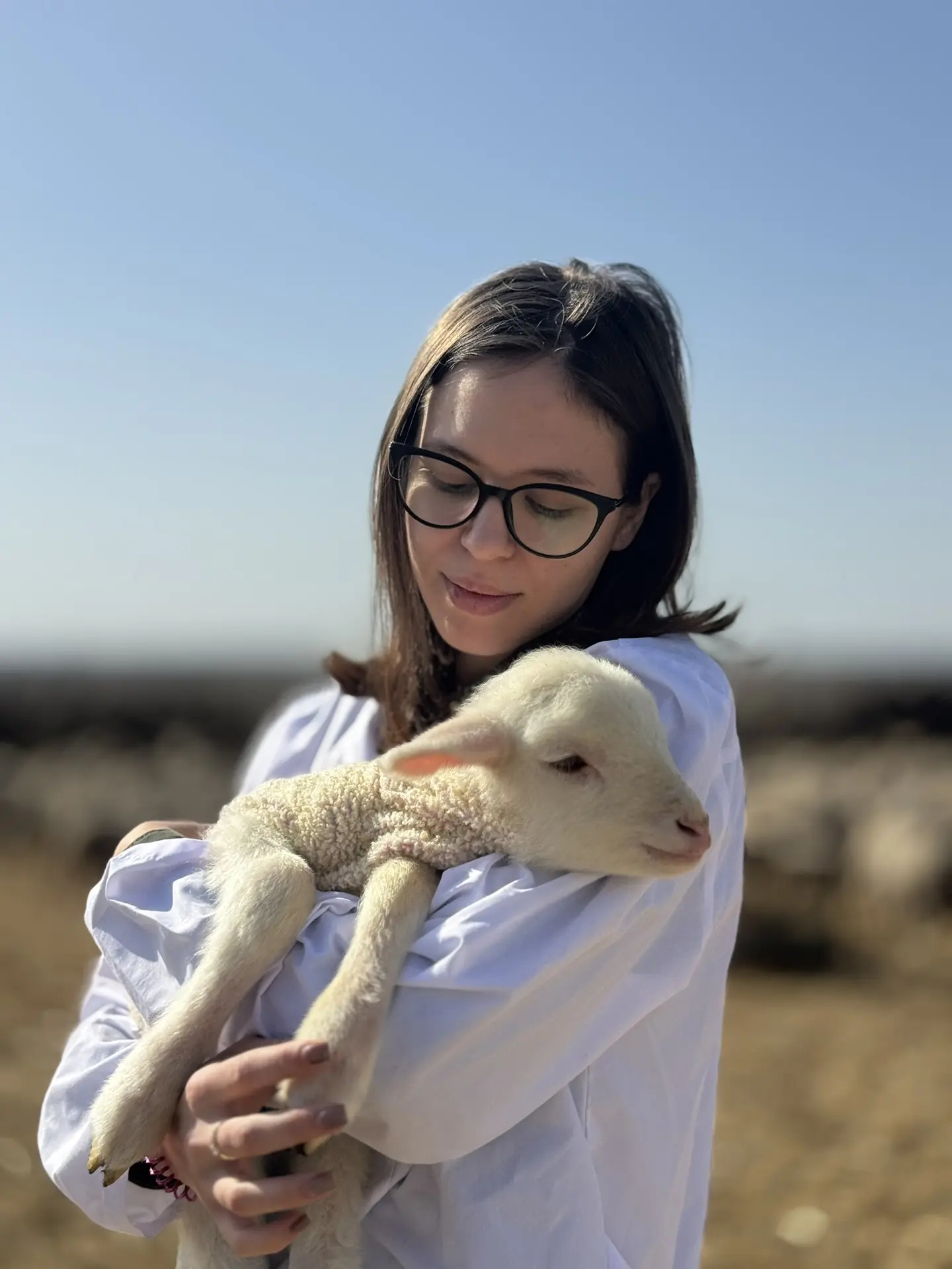 Для студентов СтГАУ прошло выездное занятие по животноводству