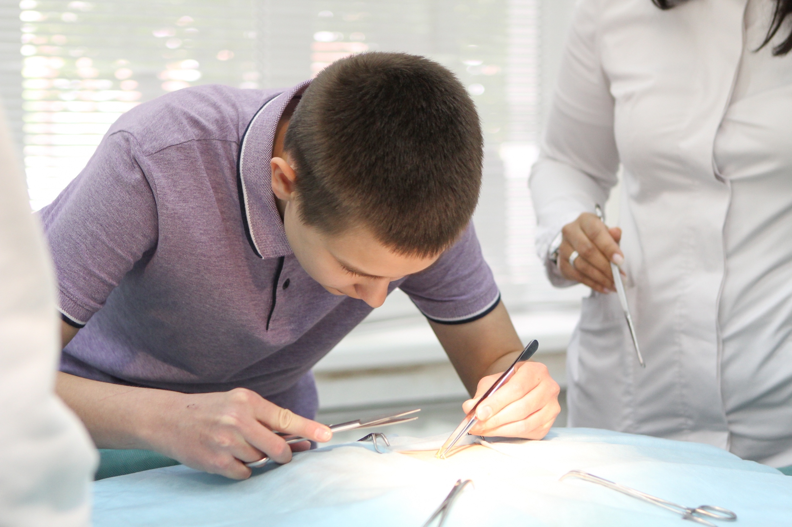 СтГАУ открывает набор на бесплатные программы для 8–11 классов