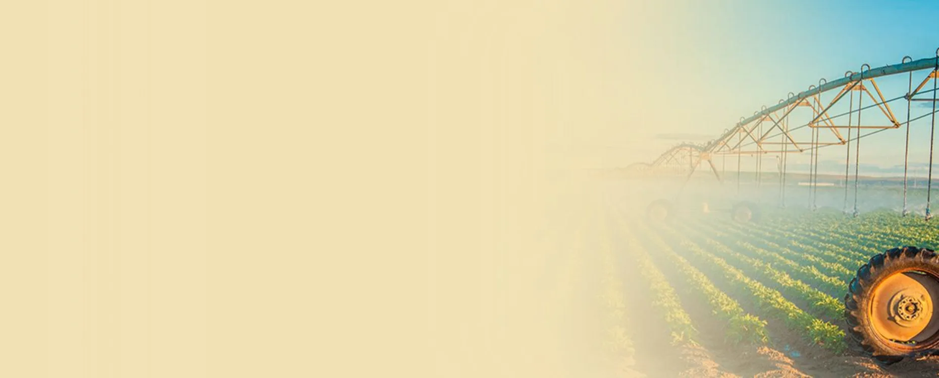 Информация для заказчиков целевого обучения Телефон горячей линии:ㅤㅤㅤ  8-800-300-69-90