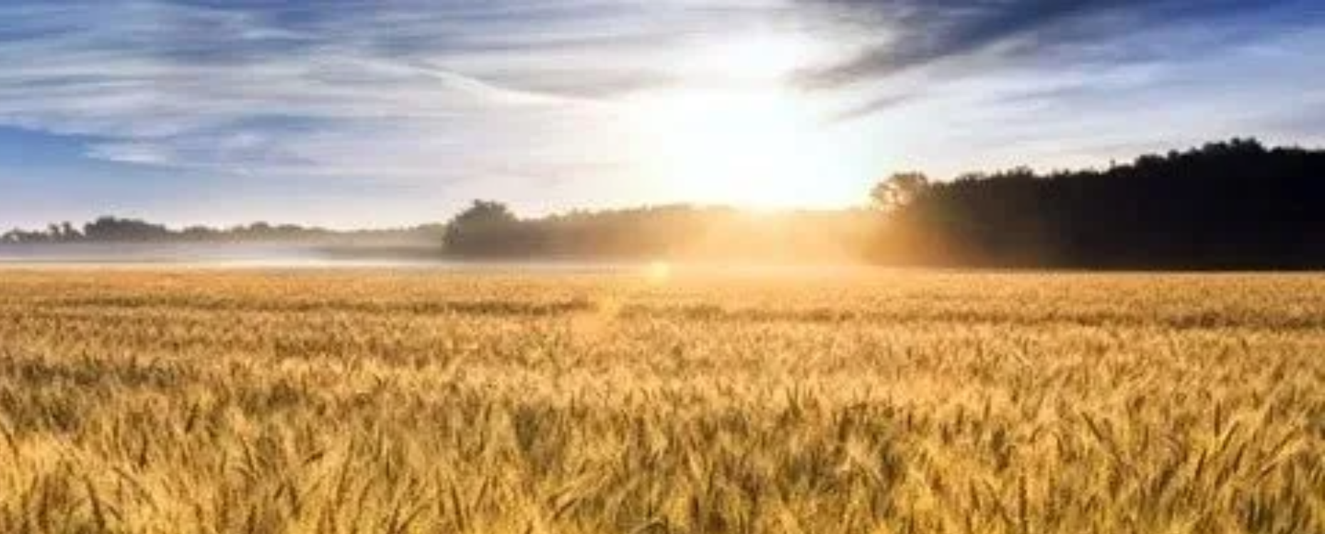 Информация для заказчиков целевого обучения Телефон горячей линии:ㅤㅤㅤ  8-800-300-69-90