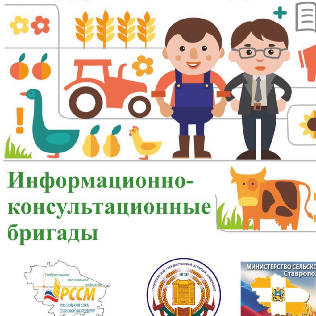 Мобильные бригады