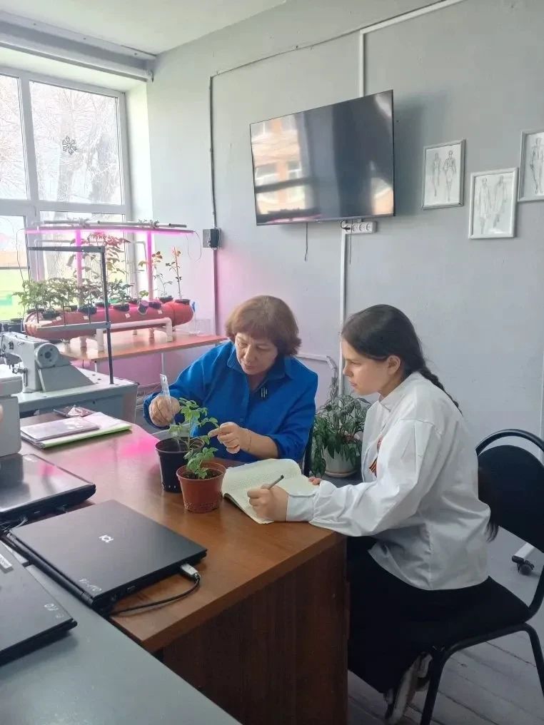 Доцент СтГАУ провела консультацию по выращиванию томатов для учеников агрокласса